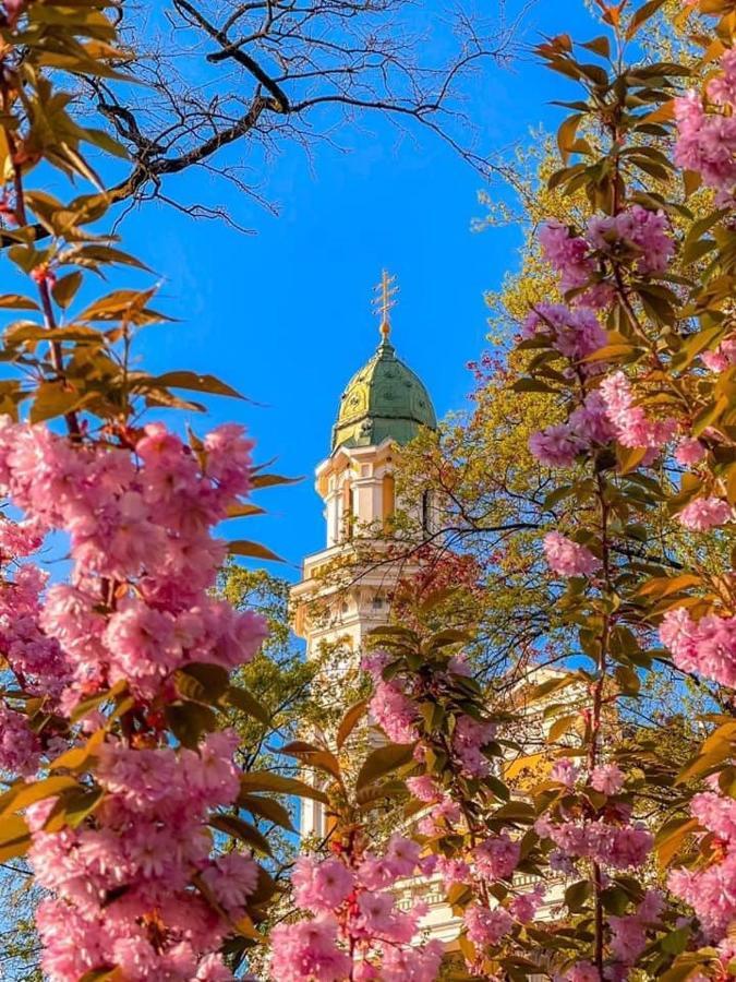Старовинні Апартаменти У Центрі Міста Uzhhorod Luaran gambar